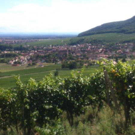 Gites & Chambes D'Hotes Fugler Orschwihr エクステリア 写真