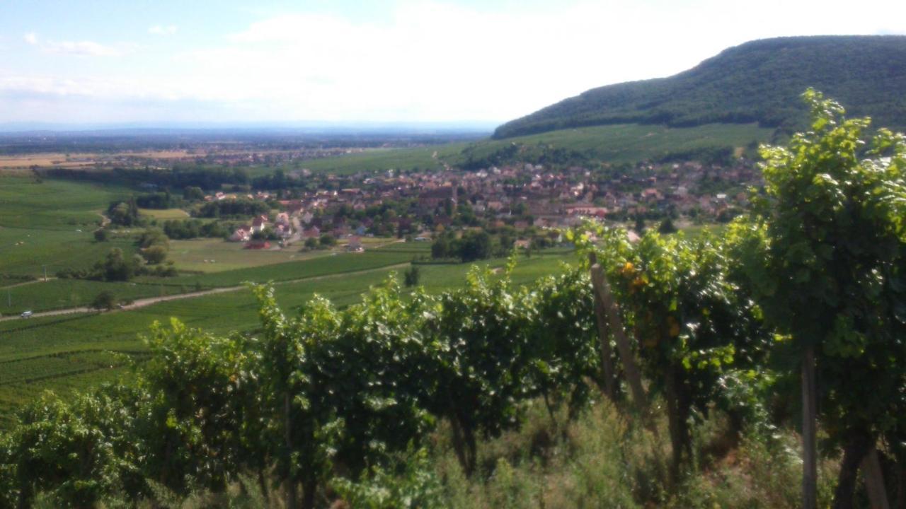 Gites & Chambes D'Hotes Fugler Orschwihr エクステリア 写真