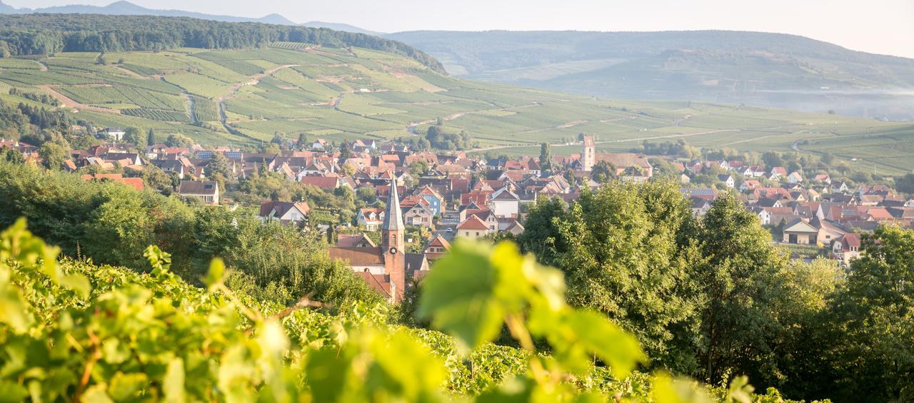 Gites & Chambes D'Hotes Fugler Orschwihr エクステリア 写真
